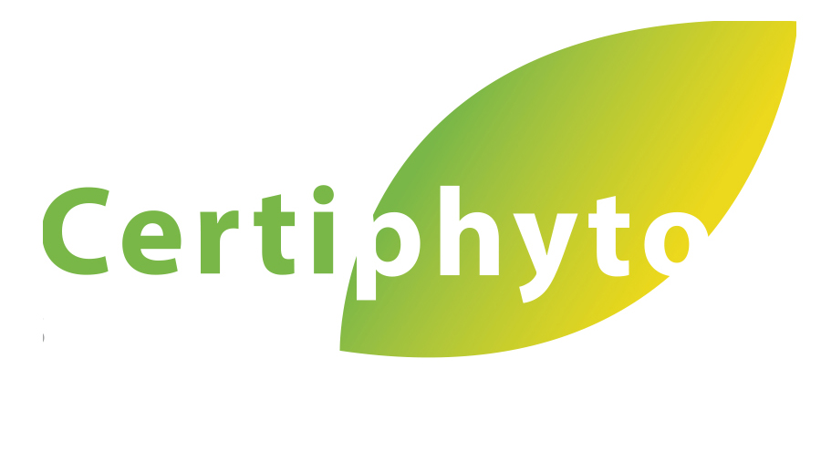 Planphyto